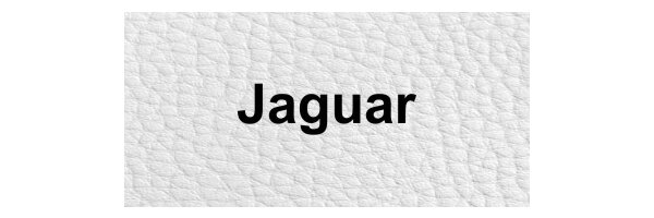 Jaguar